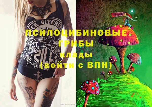 мдпв Елизово