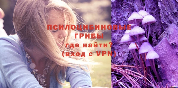 мдпв Елизово