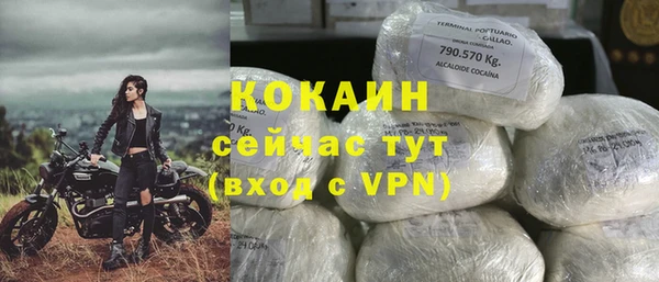 мдпв Елизово