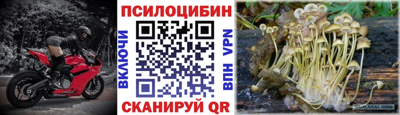Псилоцибиновые грибы Psilocybine cubensis  Купить  Осинники 